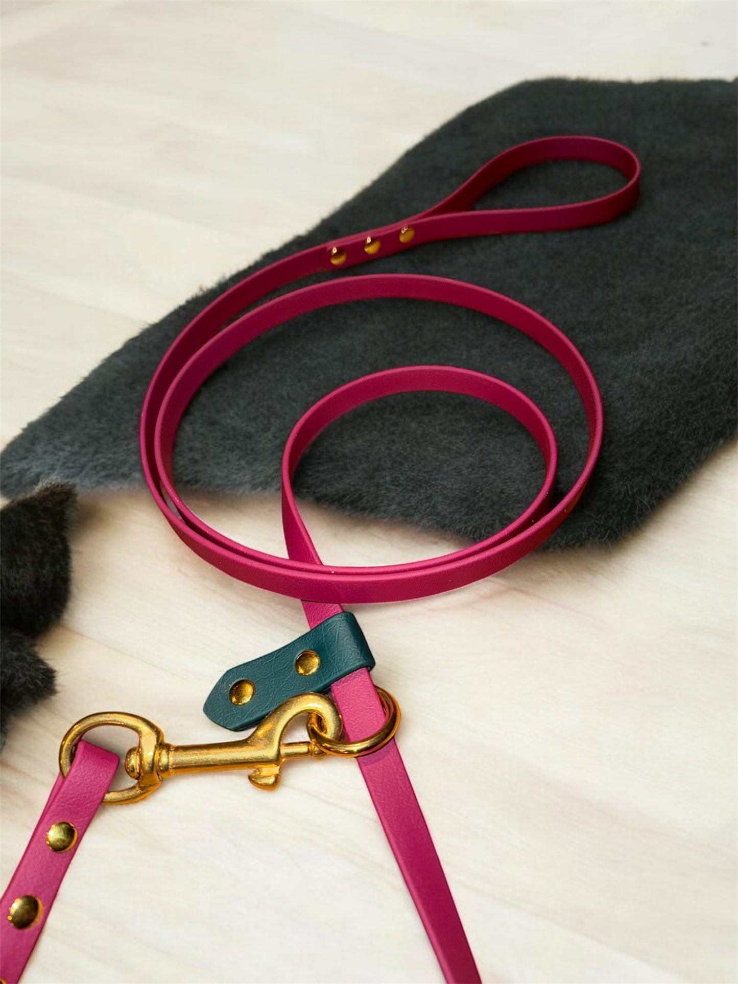 Slip / clip leash 2 in 1