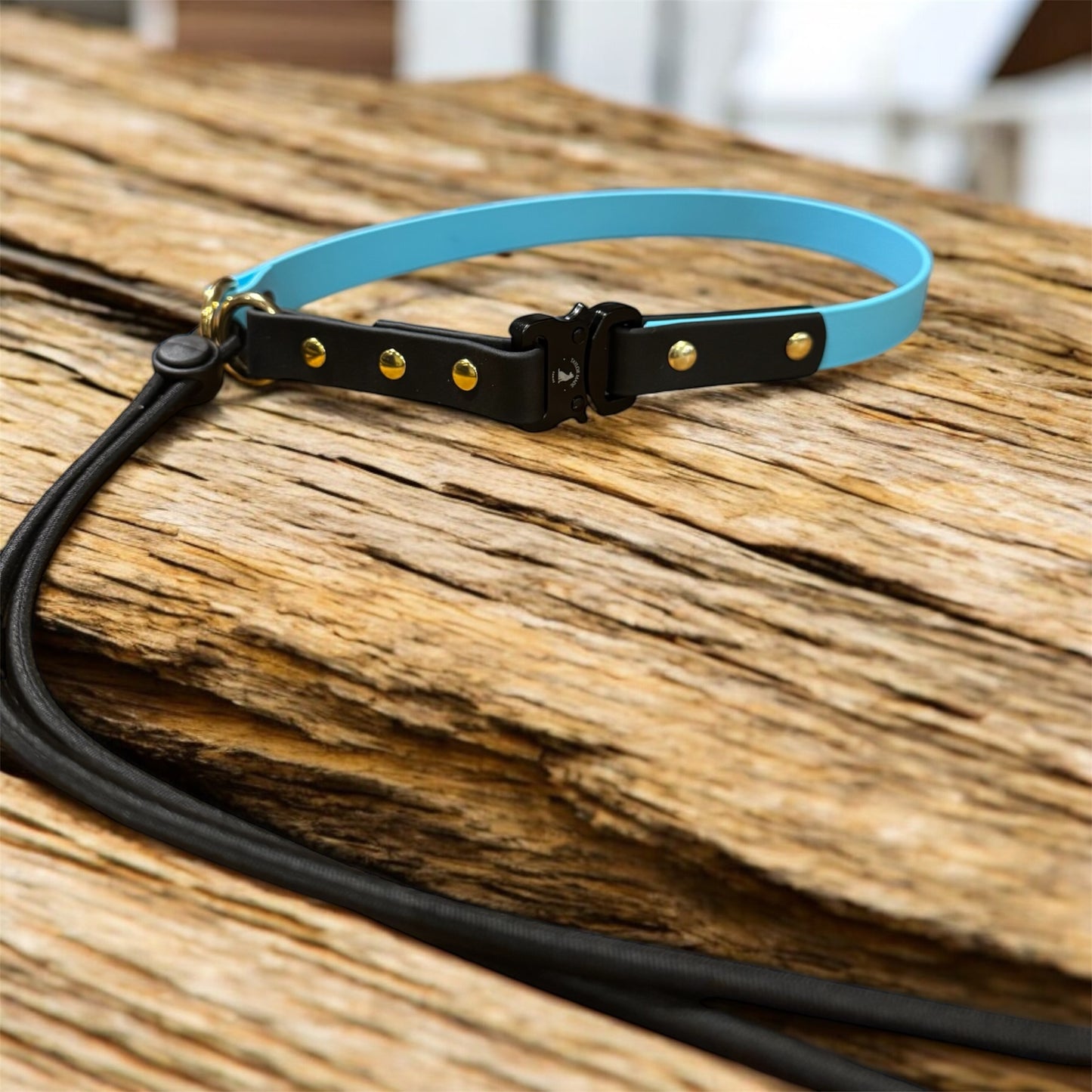 COBRA ™️ Quick release bungee collar with genuine COBRA buckle