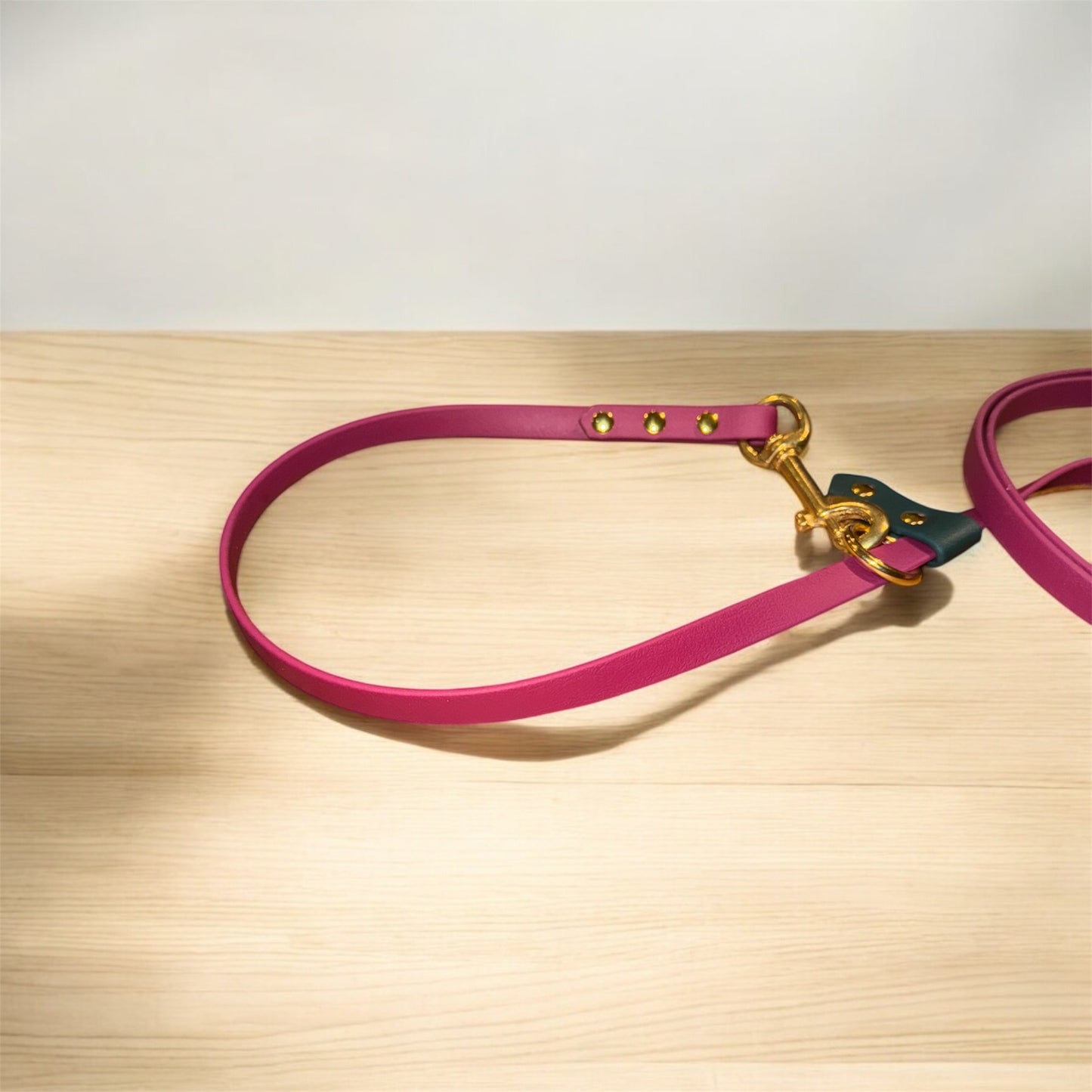 Slip / clip leash 2 in 1
