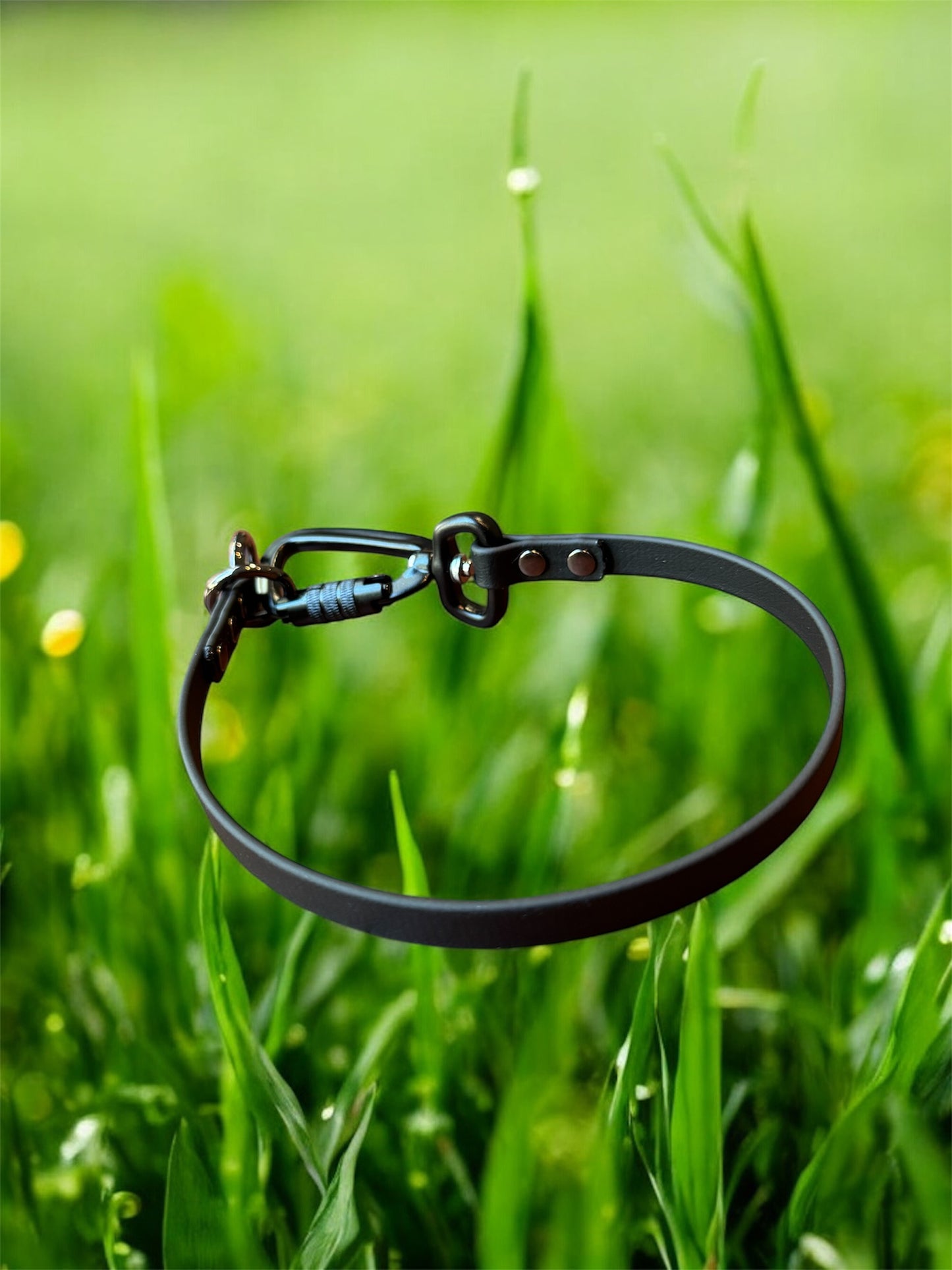 Dominant Dog Collar