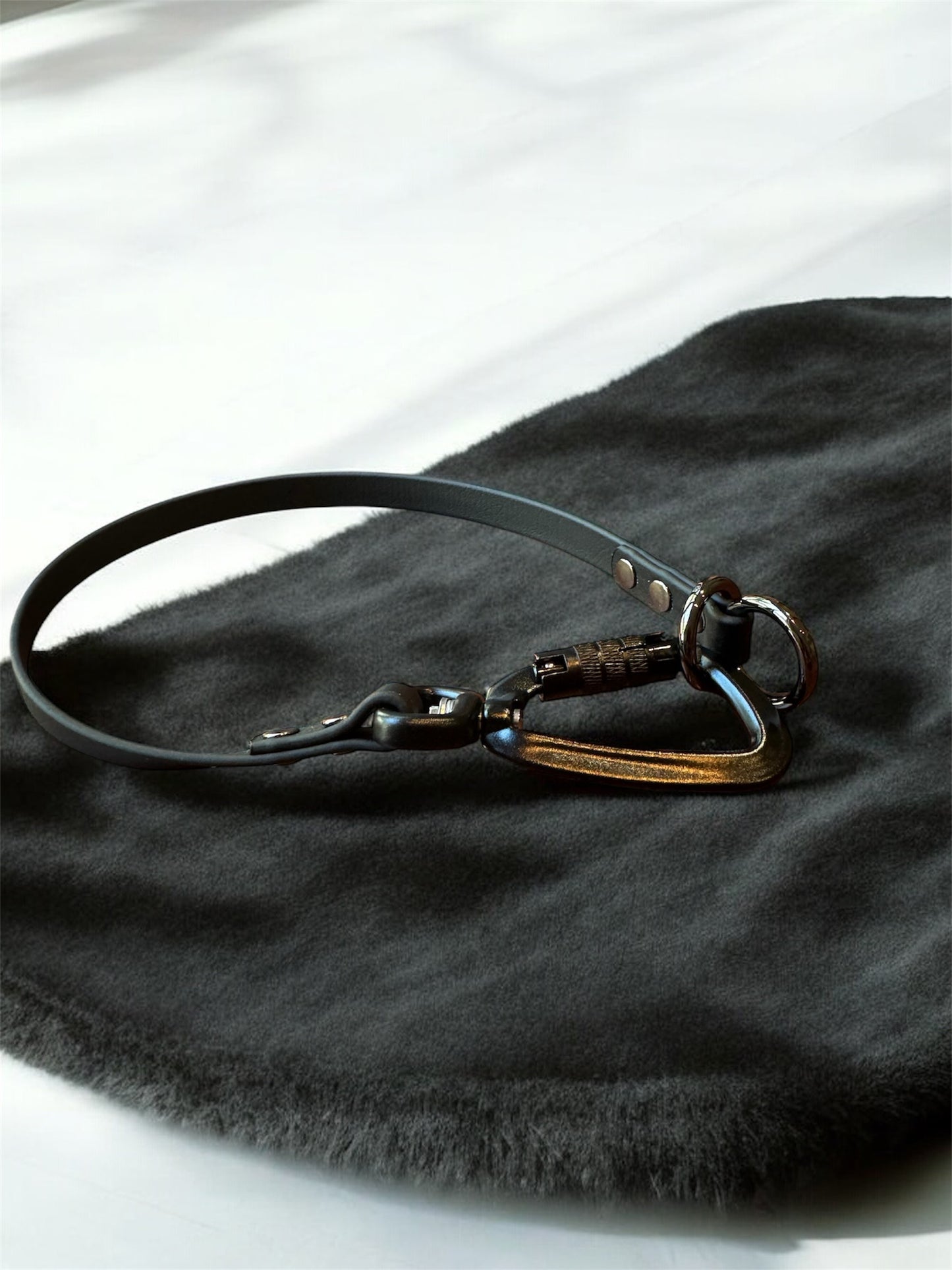 Dominant Dog Collar
