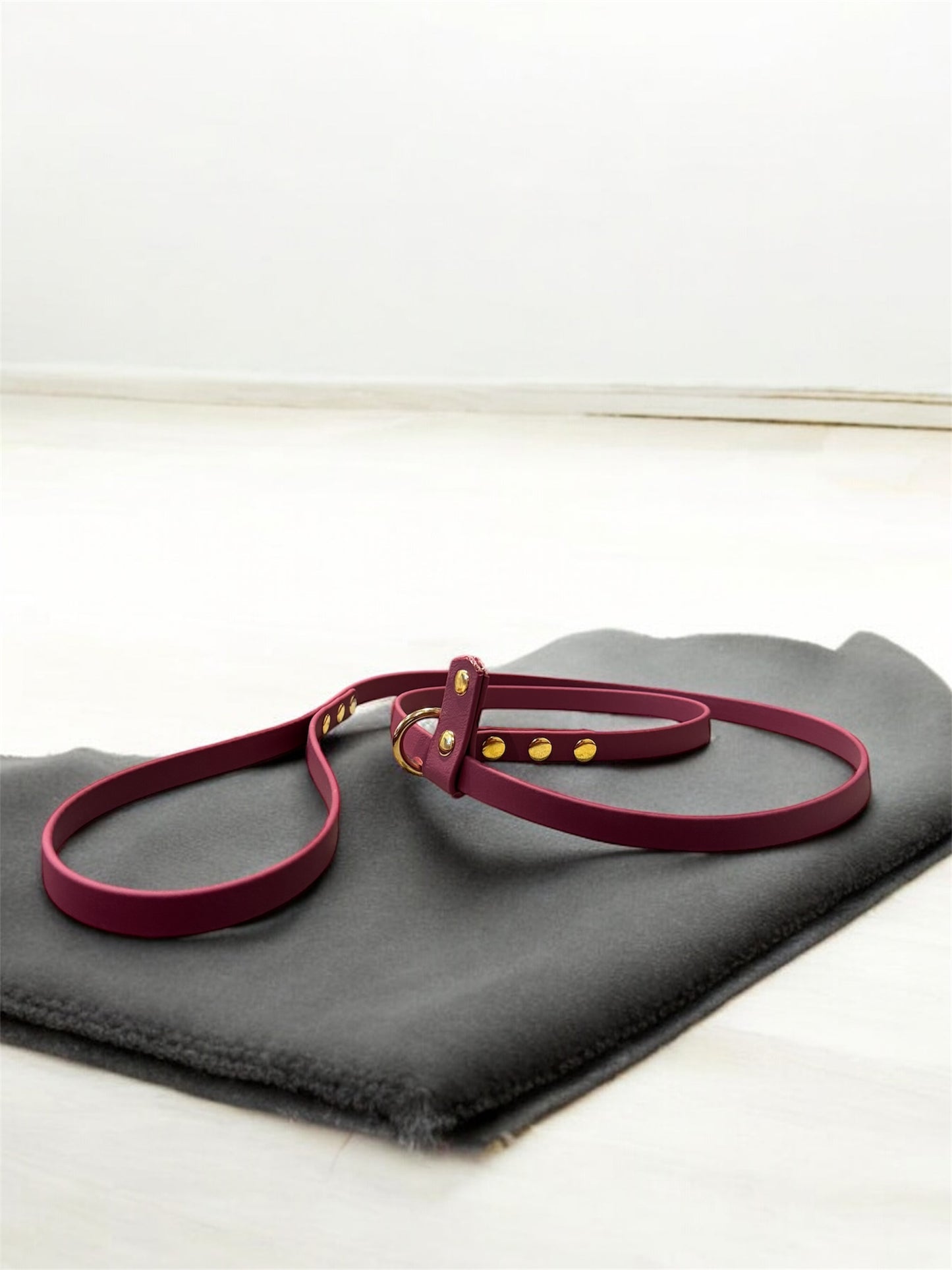 Biothane Slip Leash