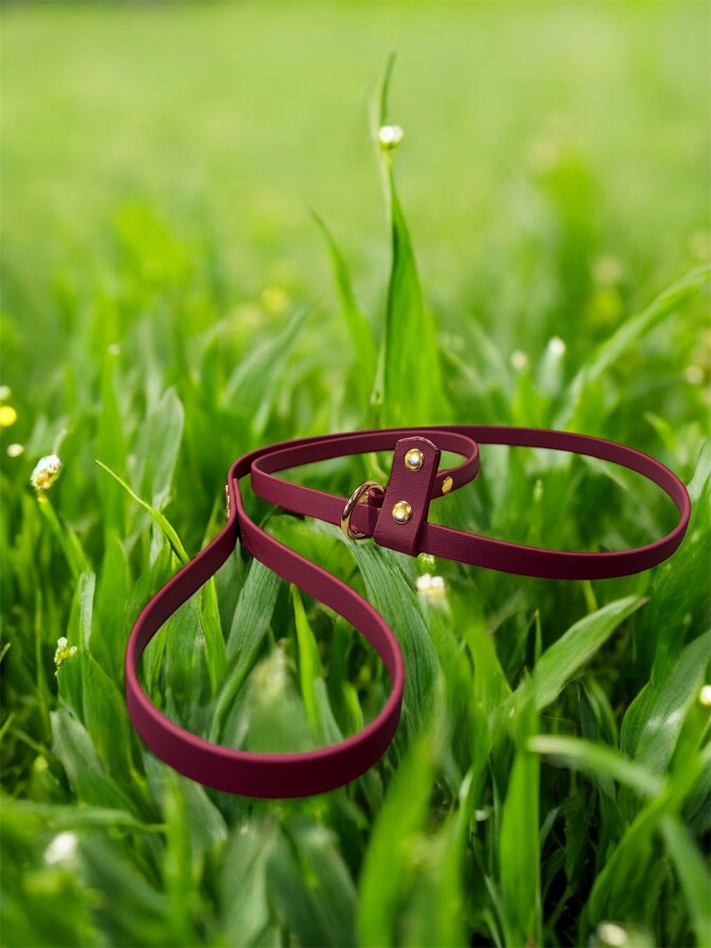 Biothane Slip Leash