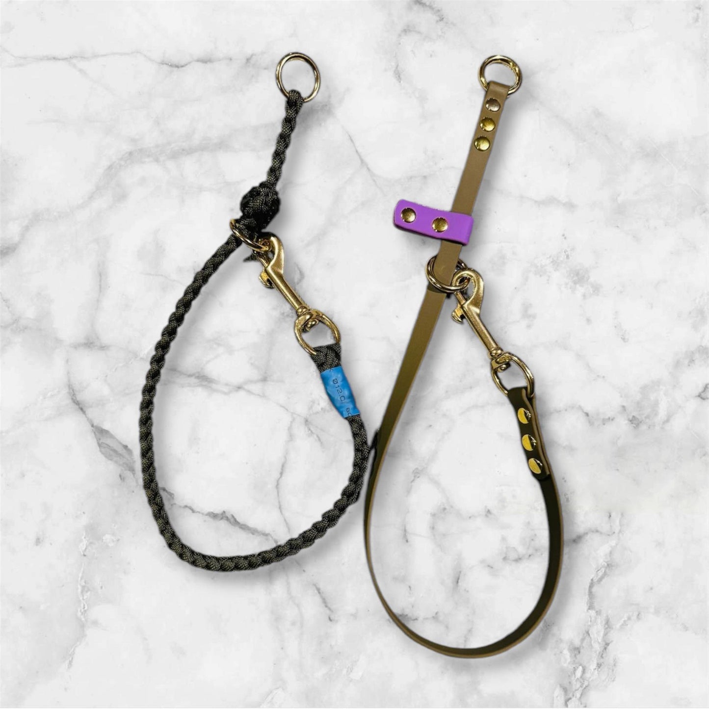 Dominant Dog Collar