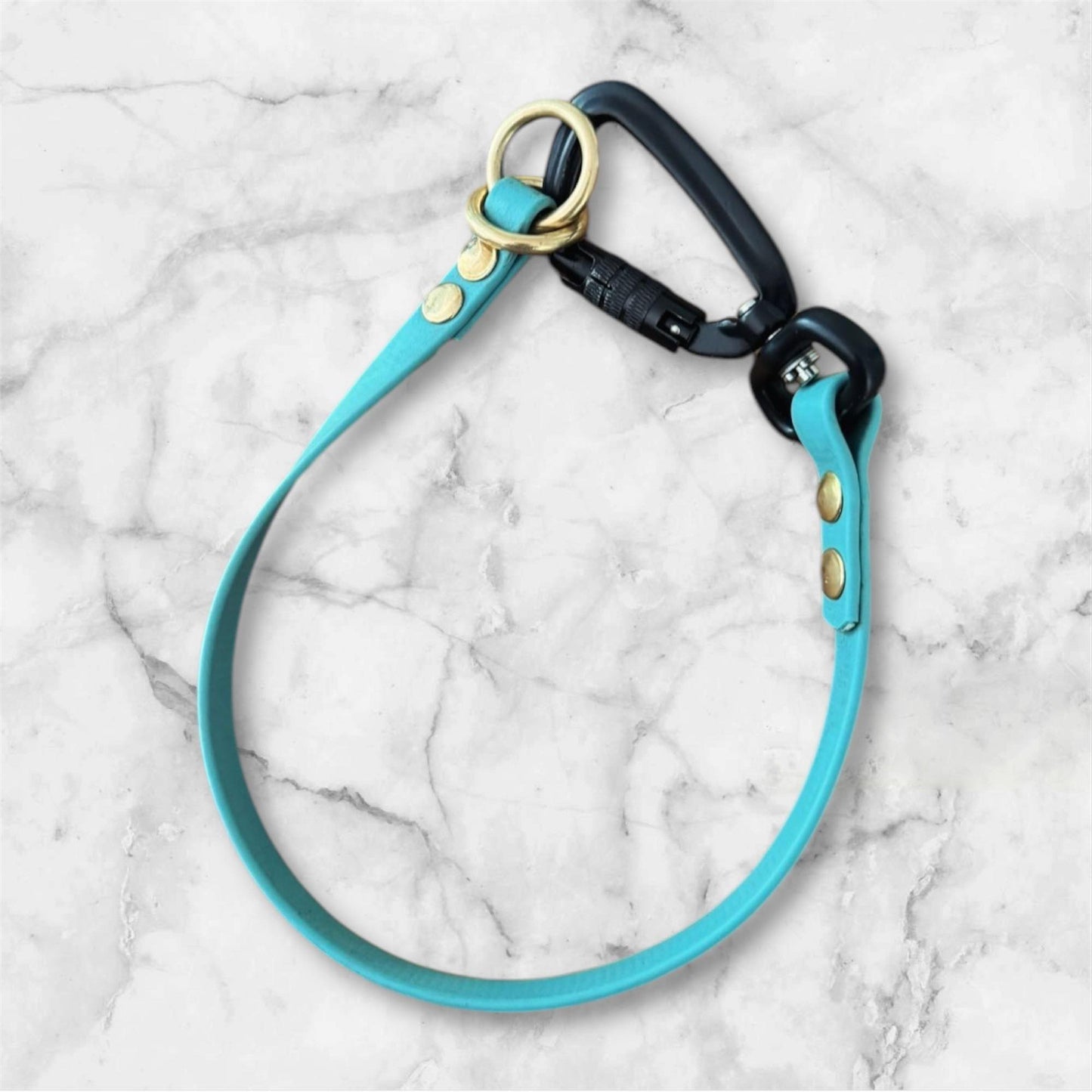 Dominant Dog Collar