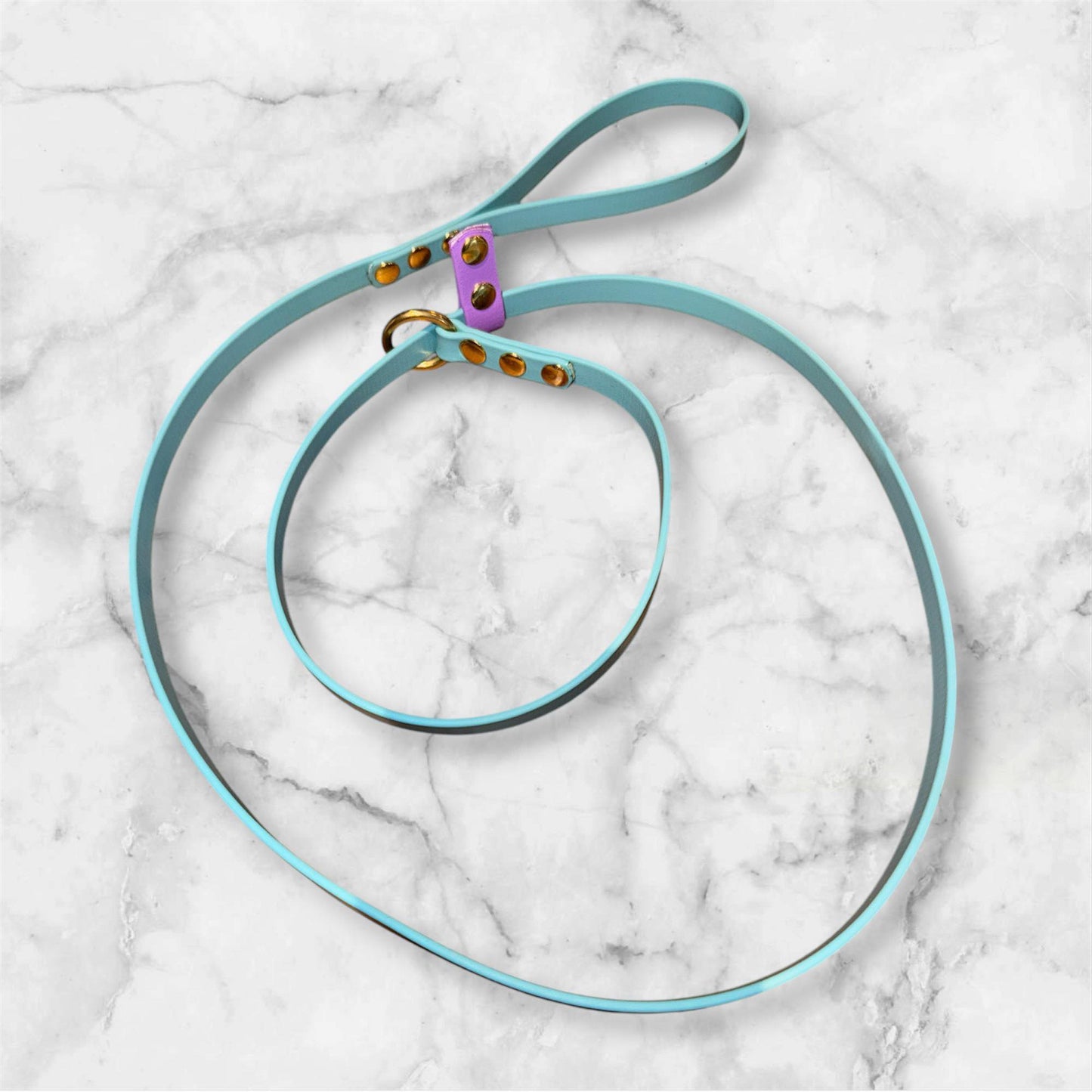 Biothane Slip Leash