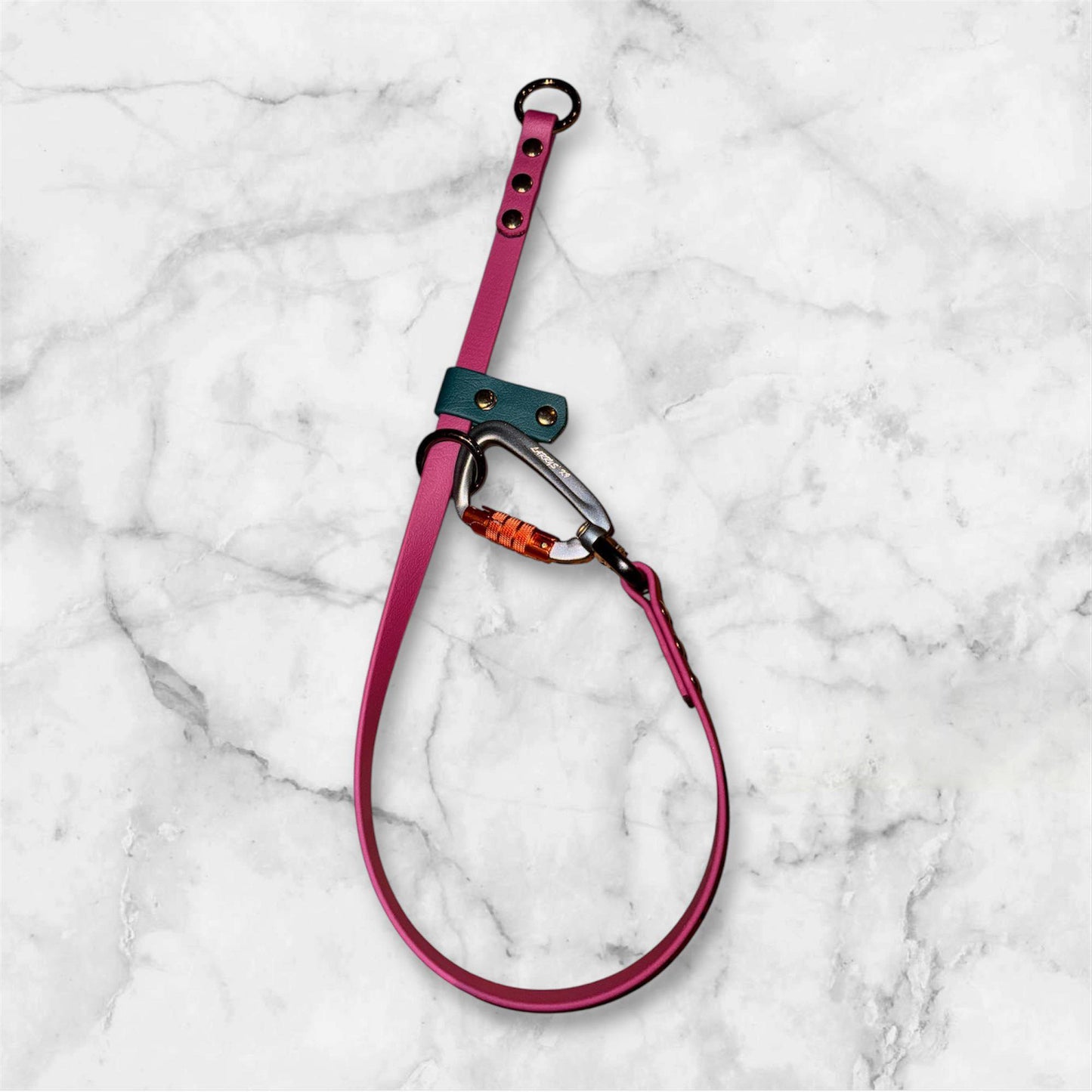Dominant Dog Collar