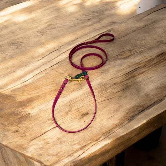 Slip / clip leash 2 in 1